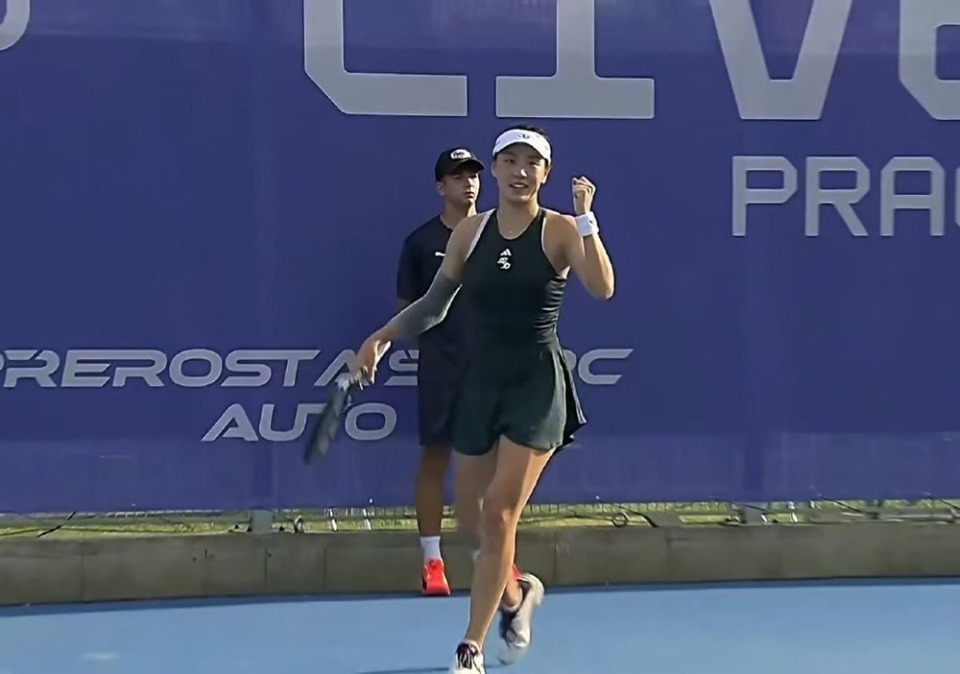 球星被安排 球星被安排